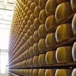 Production de fromage
